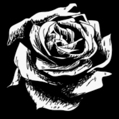 Doodiephy's profile picture. Working to be an Engineer