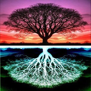 GalbraithJ72620's profile picture. Investigator
Heretic
Instigator of the Ternary Renaissance
Lover in the Liminal
Inimical to the Criminal
Artistic Original