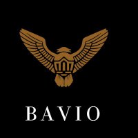 BA VIO(@BAVIOLLC) 's Twitter Profile Photo