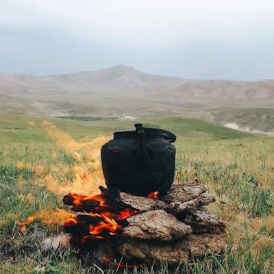 NebilSarik53539's profile picture. 