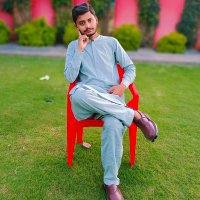 Muhammad Husnain Abbas(@Husnain_Abbas98) 's Twitter Profileg