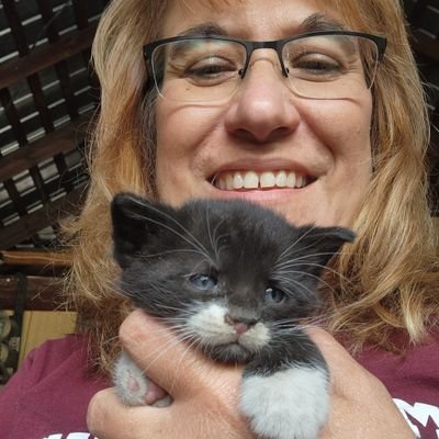 FrauCFerry's profile picture. 