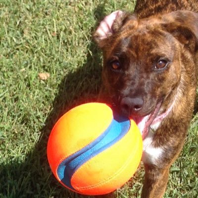 logjam7298's profile picture. 