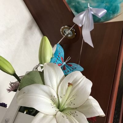 evli gizli bayan 32 yaşında yüz bebek fizik harika
ateş burcu kadını zevkli keyifli gününde heyecan peşinde