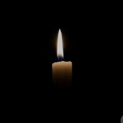 dojajetaime's profile picture. 