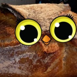 Reap_Wheat's profile picture. reaped local grains to produce handmade sourdough bread