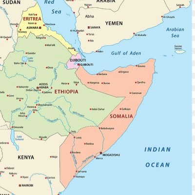 Political analysis and commentary on the Horn of Africa. Covering Ethiopia, Eritrea, Somalia, Djibouti & S/Sudan.