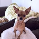 joy vera - @joysheme - Twitter