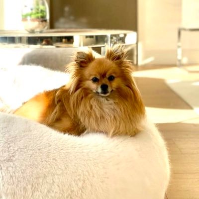 MissAliciaSarah's profile picture. 