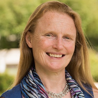 diana_baum65622's profile picture. Trainer and Consultant @LeadSculpt