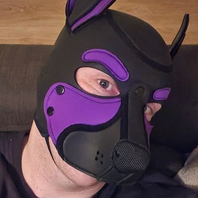 -ADULT ACCOUNT-  A 30 year old UK Vers  chubby cub/pup, taken :p. looking to make friends. DM always open