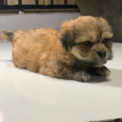 Layo_bling's profile picture. i am she, she is me