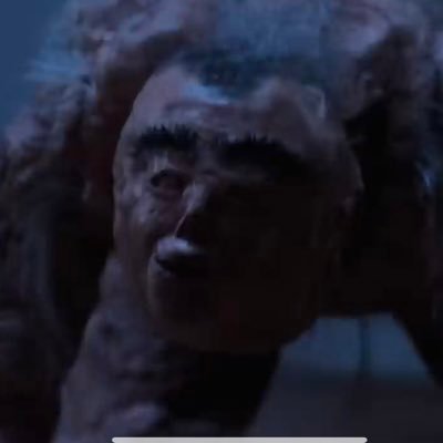 SimplySwole's profile picture. There is only now