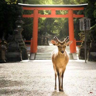 子どもに託す未来がとんでもない悪夢になってます。何かおかしい、そう感じたら追求してみてください。