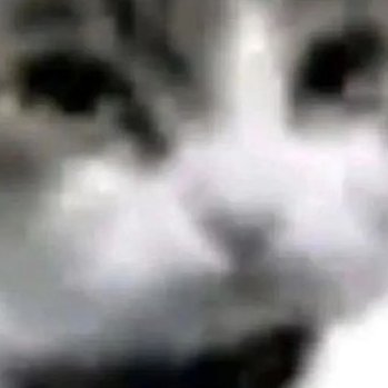 NsjddjJfkd's profile picture. 