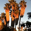 Thomas Rolison - @pr0bIem - Twitter