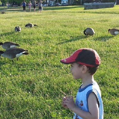 ab_ka6's profile picture. مبرمج و مصمم غرافيك حر عربي مسلم قاطن بمنتريال، كيبك، كندا 🇨🇦  من أصل جزائري🇩🇿