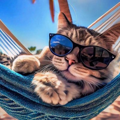 MatildaShe25950's profile picture. 