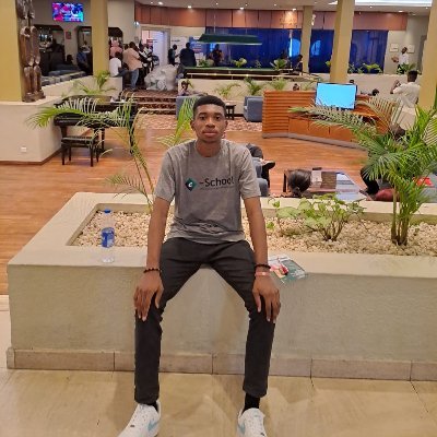 Ad_Emmanuel_'s profile picture. Believer | Web  | Wordpress Developer 🖥| Data Analyst 📊 | Manchester United