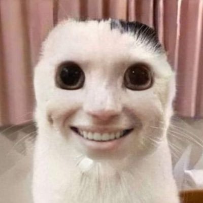 cinnamonboooy_'s profile picture. 🍂