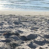 wendy (@wnewboldesol) 's Twitter Profile