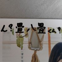 畳八畳(@pechi0114) 's Twitter Profile Photo