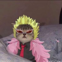 Arturo Escamilla (@arturoea21) 's Twitter Profile