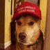 Deplorable Mimi (@mimimonger50) Twitter profile photo Deplorable Mimi (@mimimonger50) Twitter profile photo