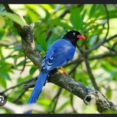 jakeson41061668's profile picture. 台灣人