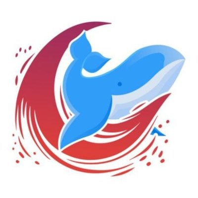 UmmarKhalid99's profile picture. N.U.R