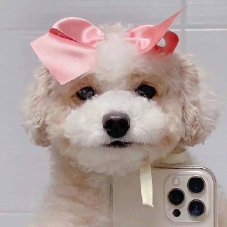 Hano2Hamid's profile picture. 🎀 girls should be sober, healthy, sunny, positive, economic and spiritual independence, and know how to please themselves 🥰🎉