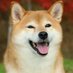 Ard (@ard_the_quiet) Twitter profile photo Ard (@ard_the_quiet) Twitter profile photo