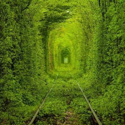 heemone771's profile picture. DON'T BE BROKE BE RICH, INVEST