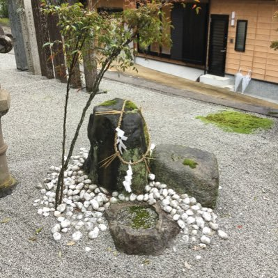 Bristy009110453's profile picture. 