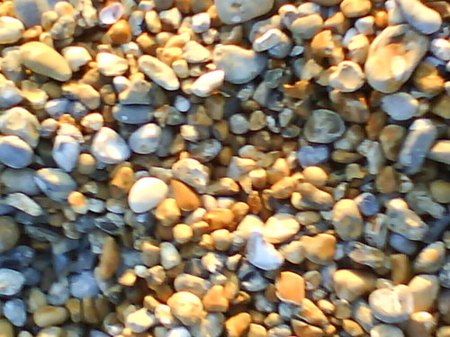 stevespurr's profile picture. sci fi nut