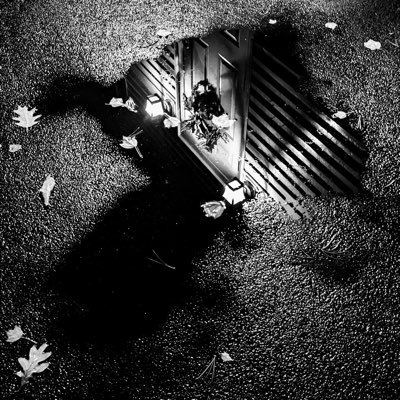 Championtodays's profile picture. 