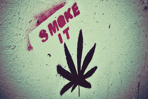 LetsBlazeBro's profile picture. Soldier in the fight for #legalization #OpCannabis #CanadianStoners #StonerNation ig: Bvked