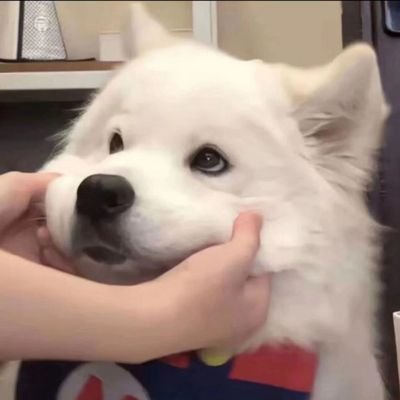 yuebangwen1's profile picture. 