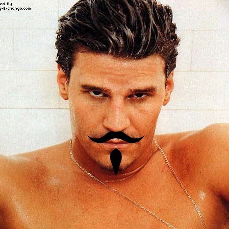 ItalianDevilD's profile picture. I'm not the real DB. I'm better