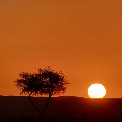 cxz6699's profile picture. 