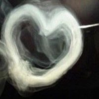 zo (@zocalss) 's Twitter Profile