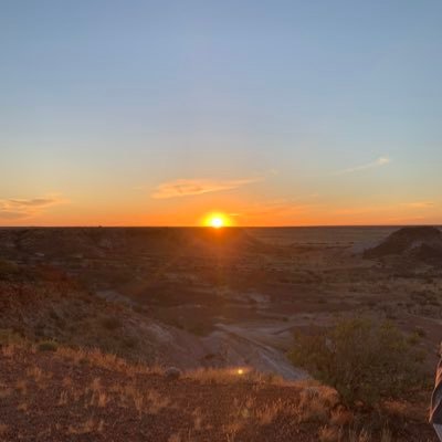 outofideas44's profile picture. 