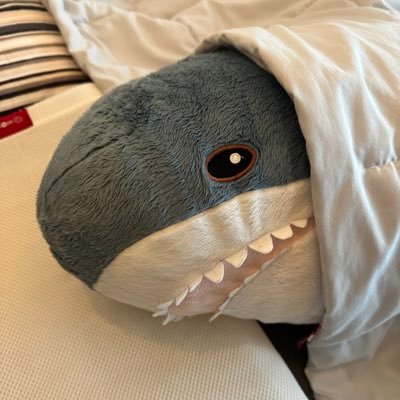 asagi8600's profile picture. サメのアプリケーションエンジニア/IKEA出身/JavaやPython の開発をしてます。/ Applications Engineer / Master of Computer Science / English is also fine