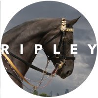 Ripley(@RipleyFineArt) 's Twitter Profileg