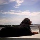 Mrscstorla1973's profile picture. Wife of 35yrs, Mom, Grandma, Sister, Daughter, have a genius IQ, I Do not follow people, I Lead by example.  God is my one and only judge.  Christ is my savior.