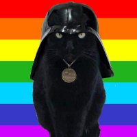 CAT THE FORCE(@94_wildcat) 's Twitter Profile Photo