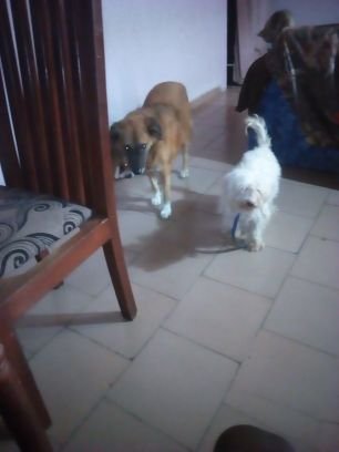 boni_dg_usa's profile picture. ʙᴜsɪɴᴇss