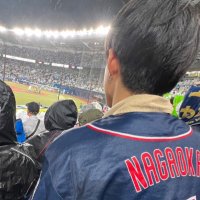 Y Y Y (@swallows_yuuu) Twitter profile photo