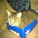 Kiki Ann Peck Baird - @kikicatbutt - Twitter