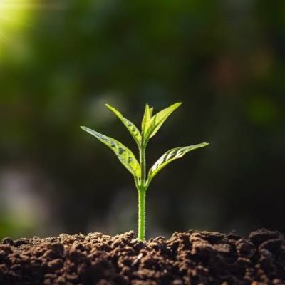 sahansakam's profile picture. Proud Indian.Jay Hind,Jay Bharat🇮🇳